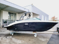 Sea Ray 210 SPXE Bowrider