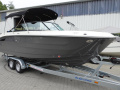 Sea Ray SDX250E & Trailer Bowrider