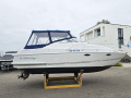 Chris Craft 262 Crowne Sportboot