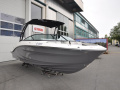 Sea Ray SPX 210 Tower Bowrider