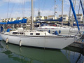 PUMA 34 Sailing yacht