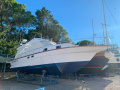 Dalla Pieta DP11 Flybridge