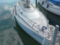 Flipper Scow Spaekhugger Yacht a vela