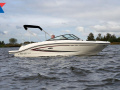 Sea Ray 19 SPX Sportboot