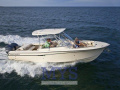 Grady White Boats 307 TOURNAMENT Sportboot