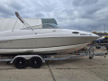 Regal 2450 Sportovní loď