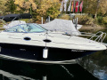 Sea Ray 255 Sundancer Yacht à moteur