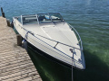 Wellcraft 192 Sportboot