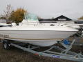 Campion 582 Explorer Center Console båt