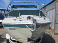 Wellcraft 200 Sport boat