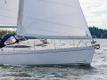 Delphia D37 Segelyacht