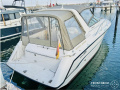 Chaparral 31 Signatur Sportboot