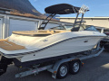 Sea Ray SPXe 210 Imbarcazione da diporto
