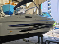 Wellcraft Excalibur 260 Motoryacht