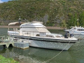 Pfeil 42 Motor yacht