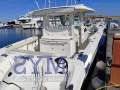 Boston Whaler 380 Outrage Fischerboot