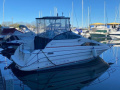 Bayliner Ciera Sürat teknesi