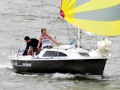 Surprise Daysailer