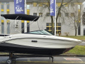 Sea Ray SPX 190 R Europe Imbarcazione da diporto