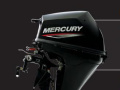 Mercury F 8 MLH EFI Aussenborder