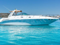 Sea Ray 455 Motoryacht