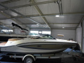 Sea Ray 19 SPXE Motoscafo