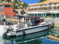Axopar 37 SUN TOP Deckboot