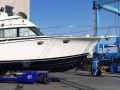 Bertram Yacht 38' Sport fish MK 3 Fischerboot