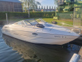 Stingray 250 CR Motoscafo