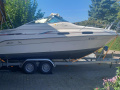 Sea Ray 230 DA Motor yacht