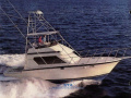 Hatteras 41 Convertible Fischerboot