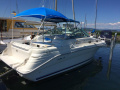 Sea Ray Sun Dancer 270 Yacht a motore