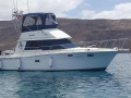 Carver 32 Convertible Sport boat