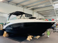 Regal 26 Express Semicabinato