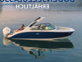 Sea Ray SDX250E OUTBOARD & Trailer (NE Bowrider