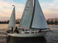Hallberg-Rassy 35 Rasmus Ketch Velero crucero