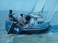 NAJA 30 Segelyacht