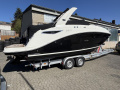 Sea Ray 265 DAE Sportboot