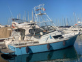 Striker 29 Bateau de pêche