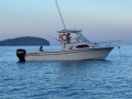 Grady-White Sailfish 282 Fischerboot