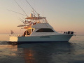 Viking 52 Convertible Motoryacht