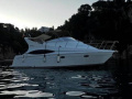 Carver Mariner 350 Flybridge