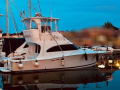 Luhrs 36 CONVERTIBLE Flybridge