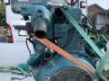 Volvo Penta D2-50 Innenbordmotor