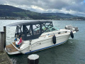 Sea Ray 270 Sundancer Motoryacht