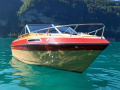 MerCruiser Century 40000 S MCM 228 Bateau à moteur classique