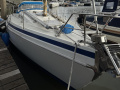 Contest 36 Ketsch Blauwasseryacht