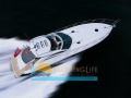 Sunseeker Portofino 53 MKII Sportboot