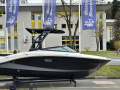 Sea Ray SPX 210 Europe Sportboot
