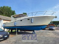 Tuccoli T350 Yacht à moteur